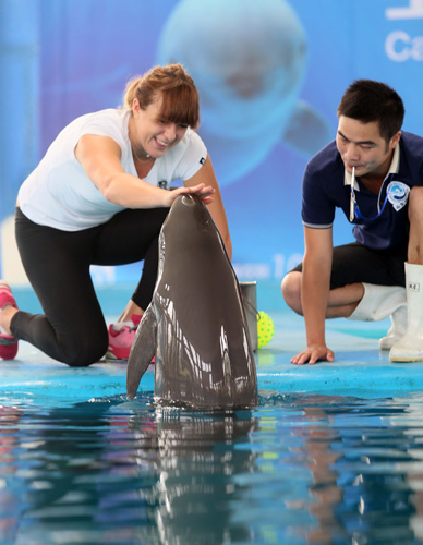 专注于产业 专注于产业